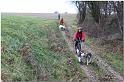 Tour Taunus 288